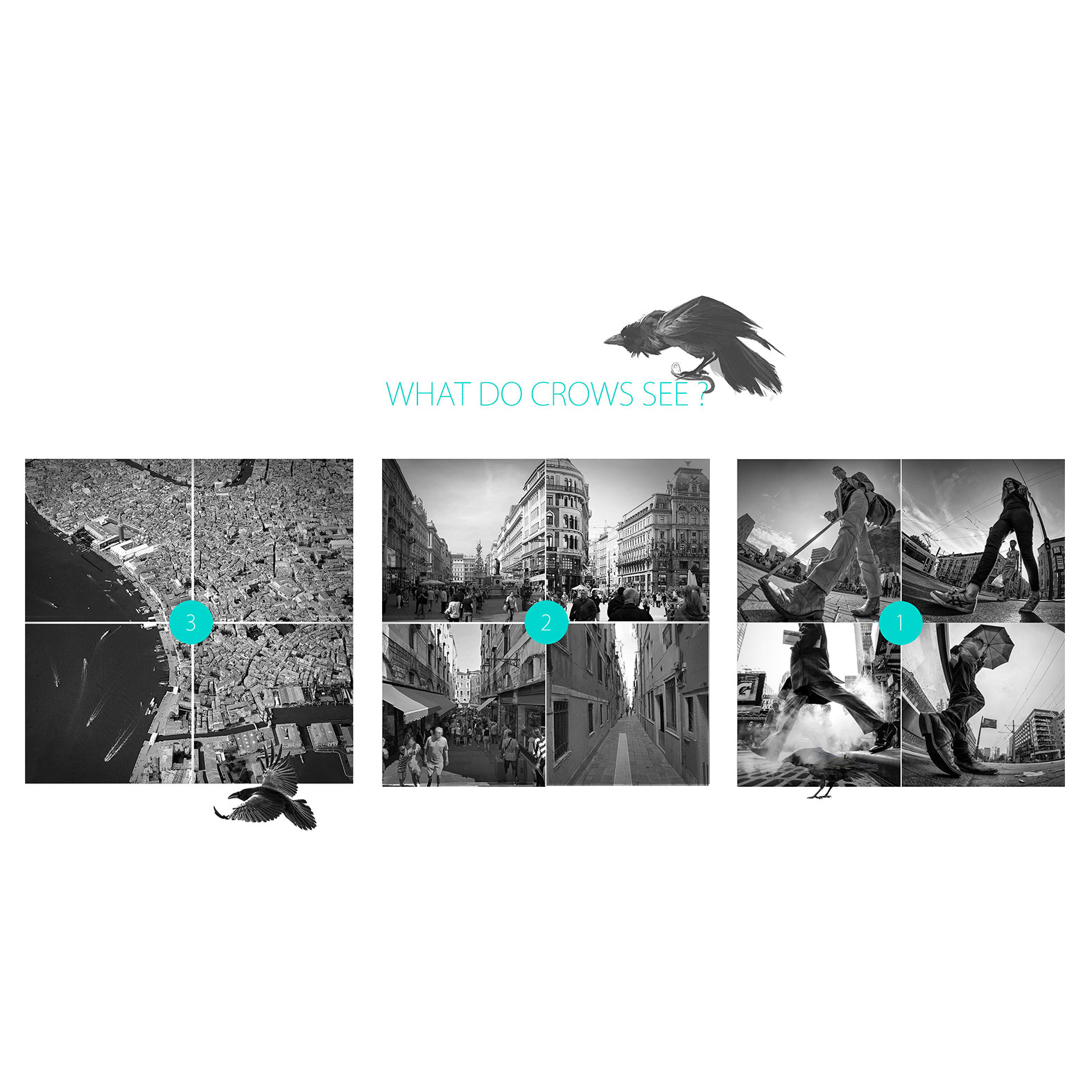 THE BOXES NUMBER 1 6
Architect: Amin Soltanpour 
Company: Soltanpour Studio